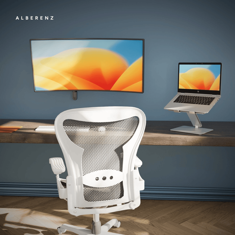 Alberenz® Monitorbeugel Wand Gasveer Donkergrijs