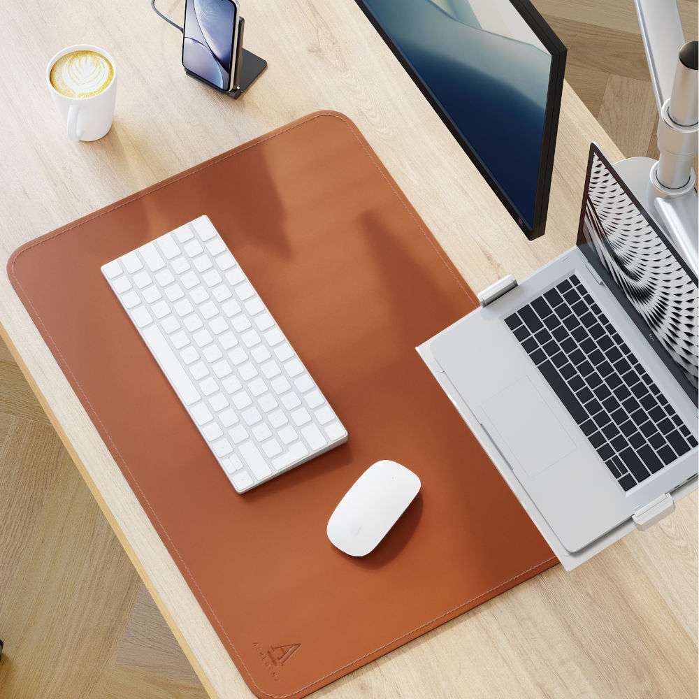 Bras pour moniteur d'ordinateur portable Alberenz® avec ressort à gaz argenté